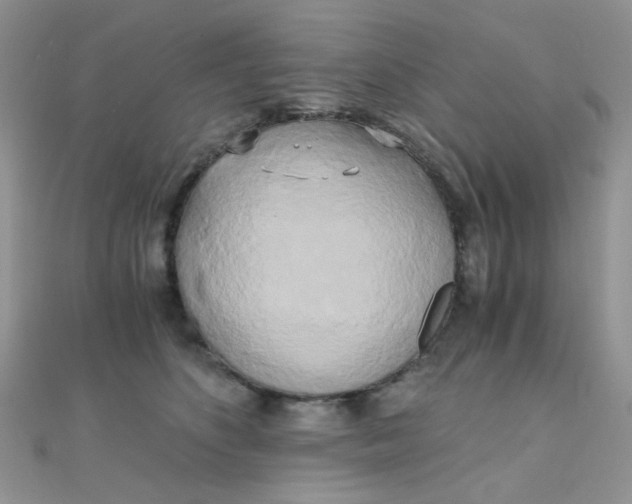 X0000110320516200906042046