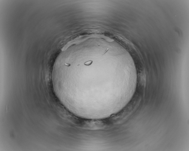 X0000110320517200906042046