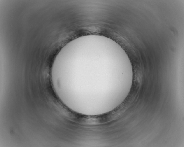 X0000110320518200906042046