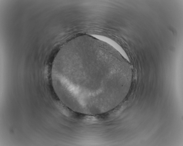 X0000110320519200906042046