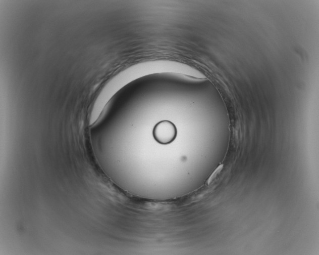 X0000110320520200906042046