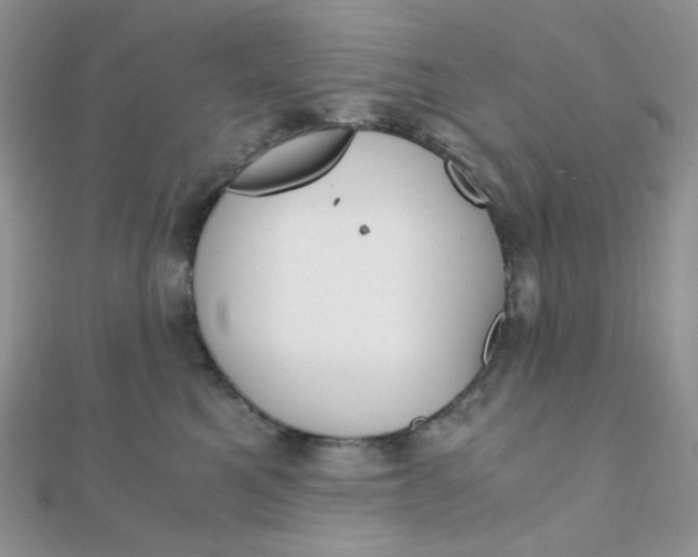 X0000110320521200906042046