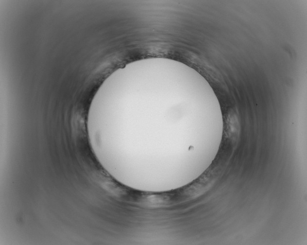 X0000110320522200906042046