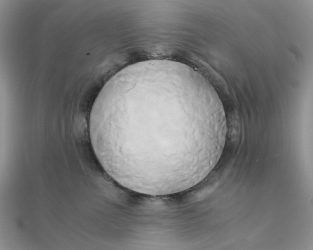 X0000110320523200906042046