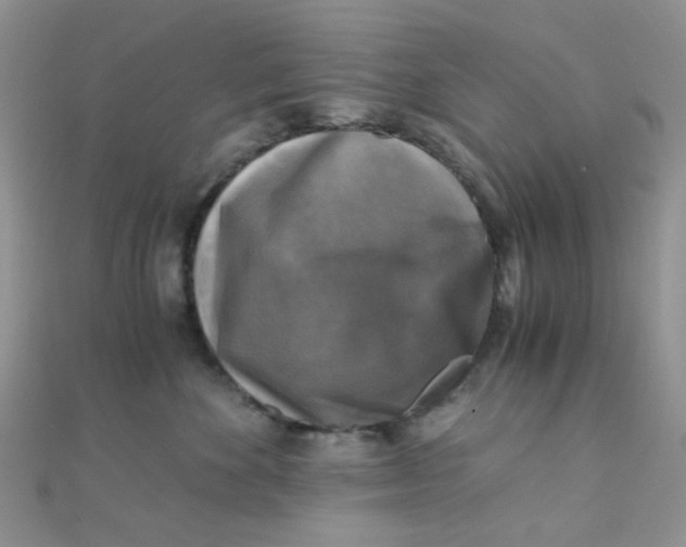 X0000110320524200906042046