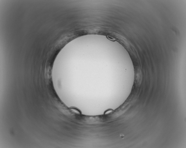 X0000110320525200906042046