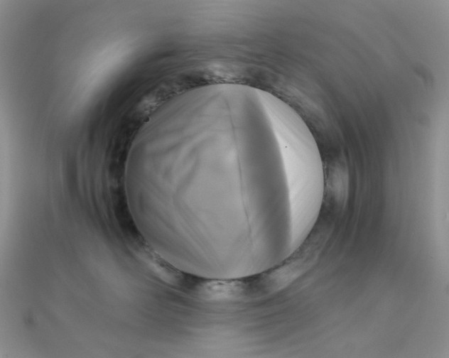 X0000110320526200906042046