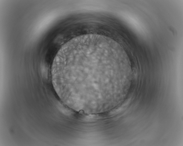 X0000110320527200906042046