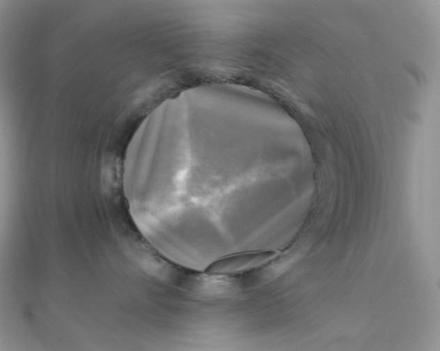 X0000110320528200906042046