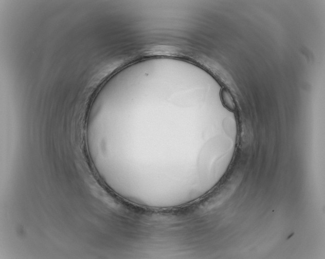 X0000110320529200906042045