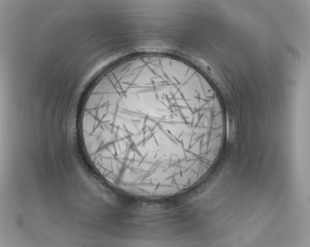 X0000110320531200906042045