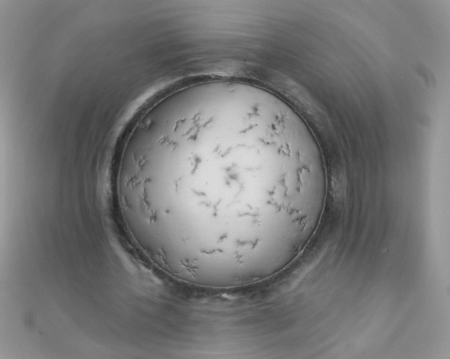 X0000110320532200906042045