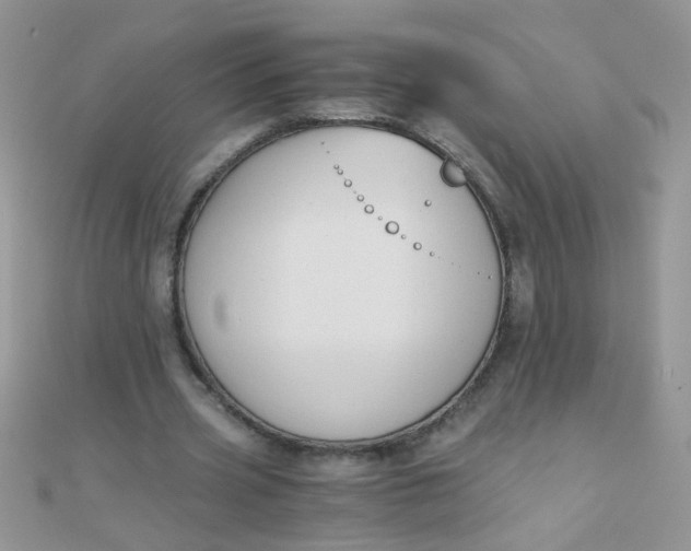 X0000110320533200906042045