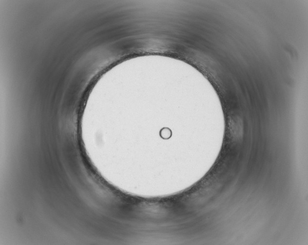 X0000110320534200906042045