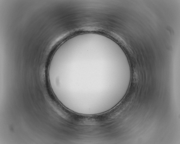 X0000110320535200906042046