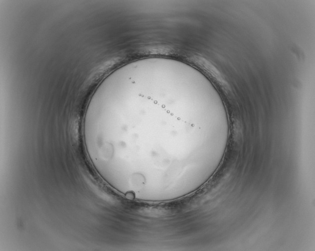 X0000110320537200906042046