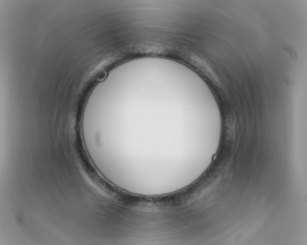 X0000110320538200906042046