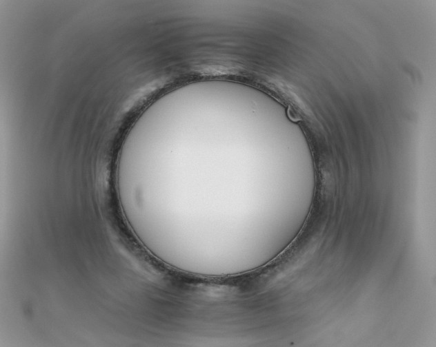 X0000110320539200906042046