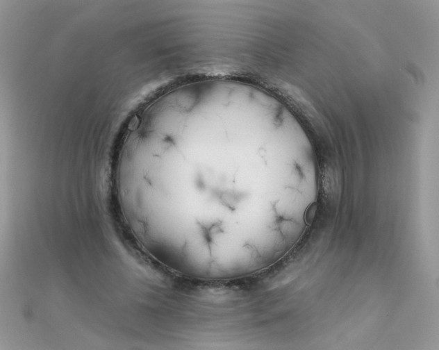 X0000110320540200906042046