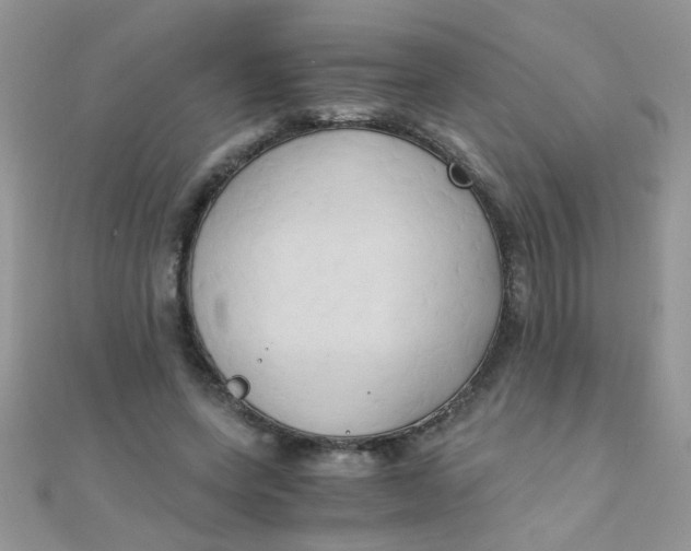 X0000110320543200906042046