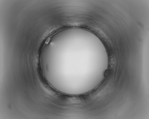 X0000110320544200906042046