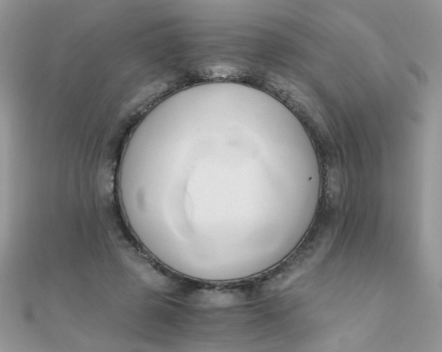 X0000110320545200906042046