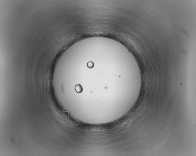 X0000110320546200906042046