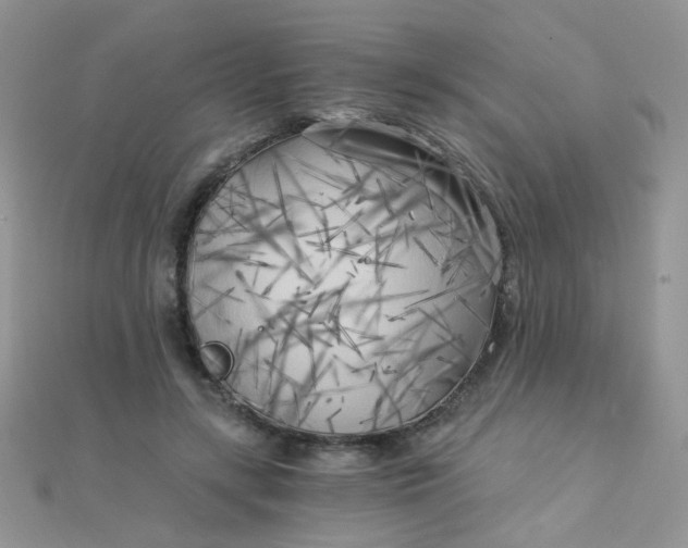 X0000110320547200906042046