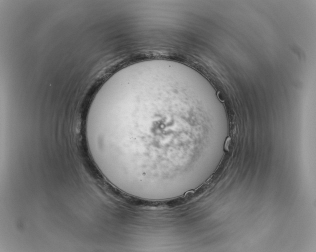 X0000110320548200906042046