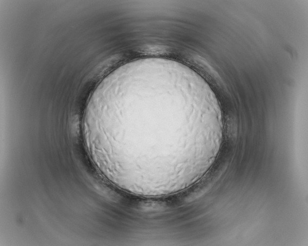 X0000110320549200906042046