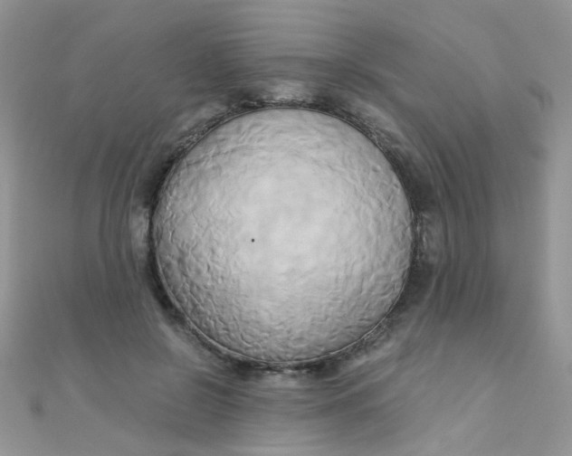 X0000110320550200906042046