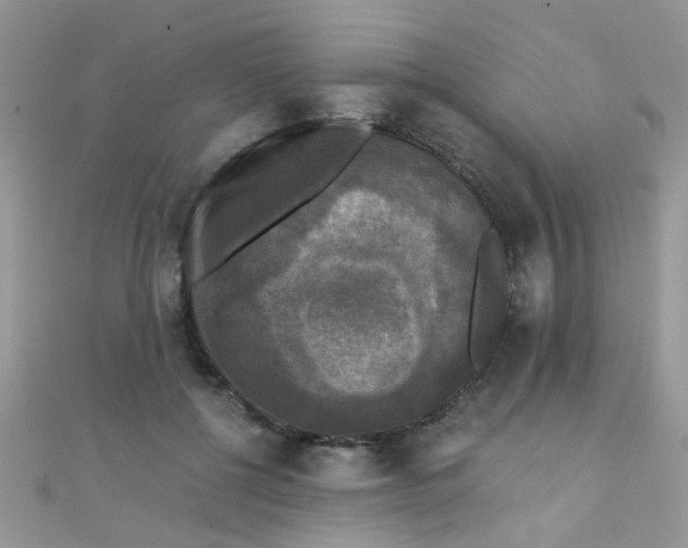 X0000110320552200906042046