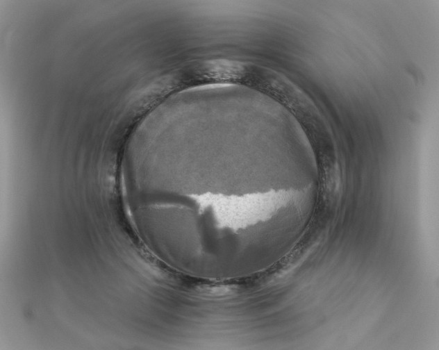 X0000110320553200906042046