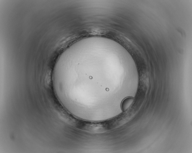 X0000110320554200906042046