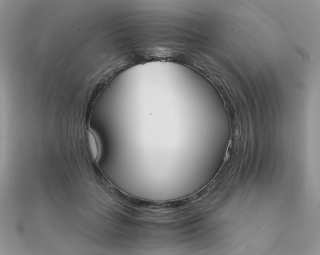 X0000110320555200906042046