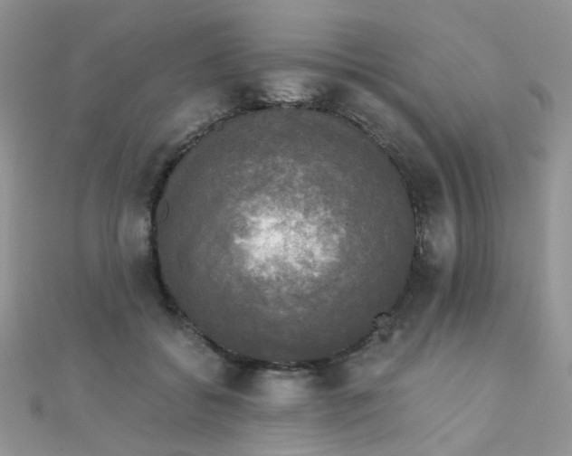 X0000110320556200906042046