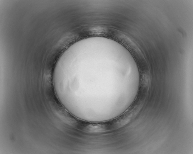 X0000110320557200906042046