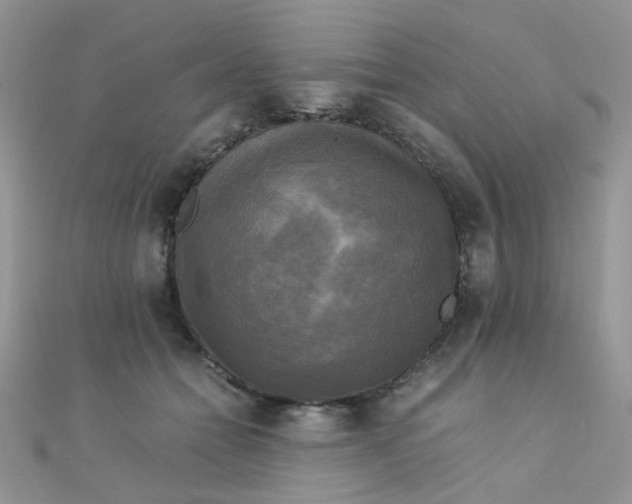 X0000110320558200906042046