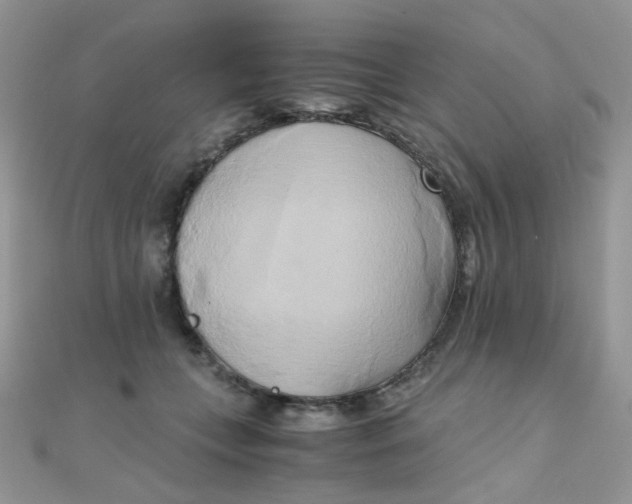 X0000110320559200906042046