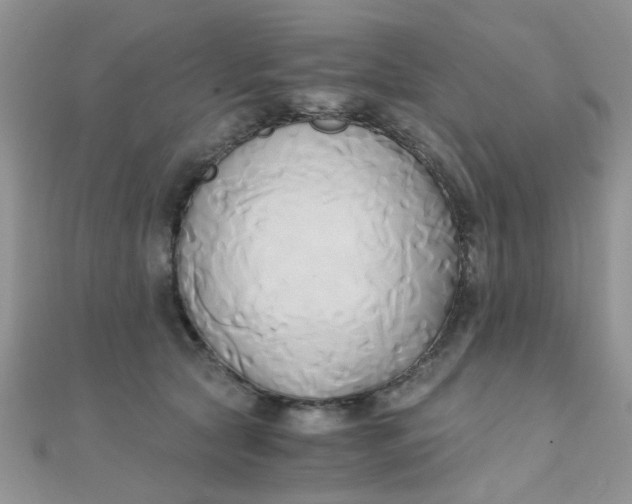 X0000110320561200906042046