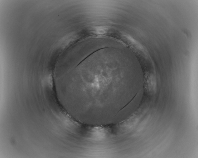 X0000110320562200906042046