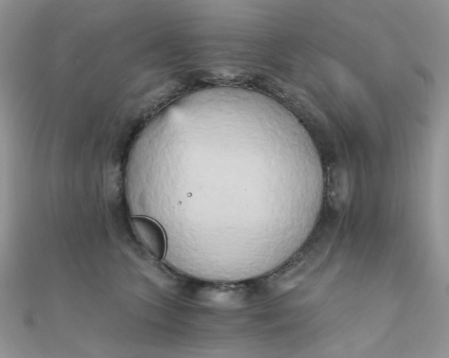 X0000110320563200906042046