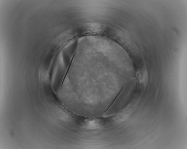 X0000110320564200906042046