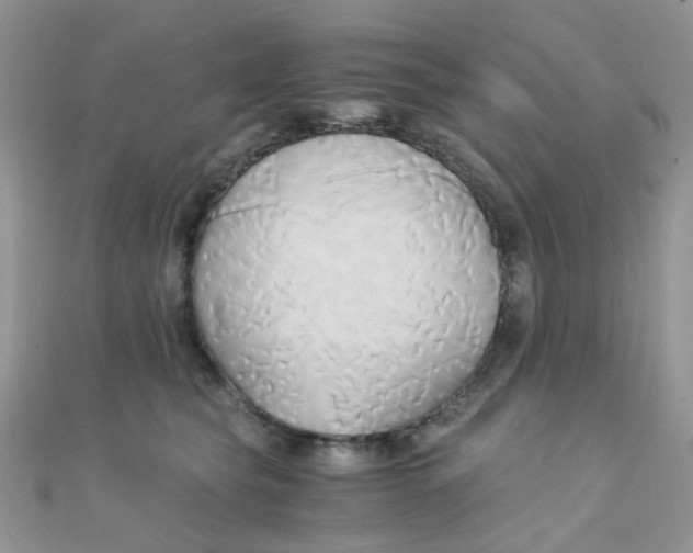 X0000110320565200906042046