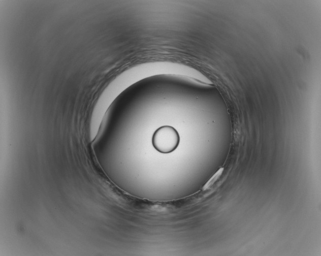 X0000110320566200906042046