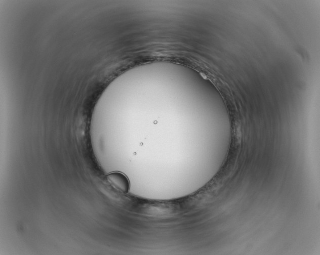 X0000110320567200906042046