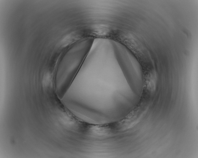 X0000110320568200906042046