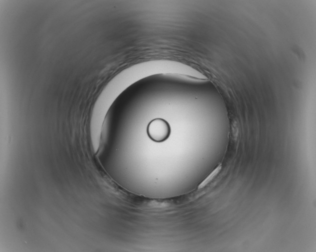 X0000110320570200906042046