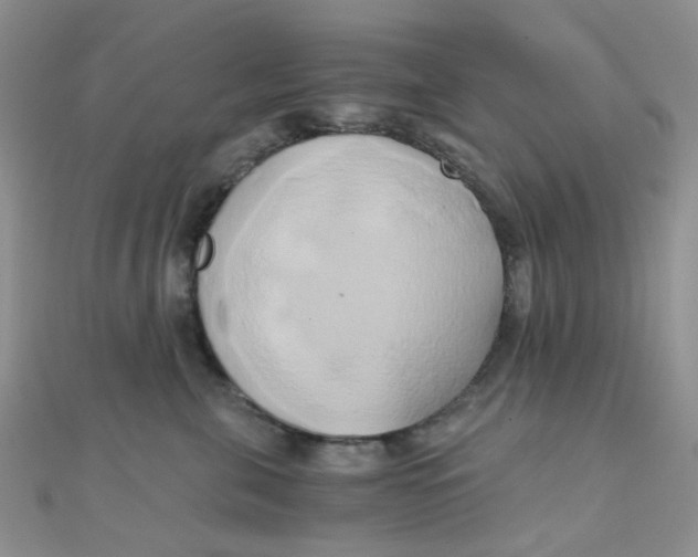 X0000110320571200906042046