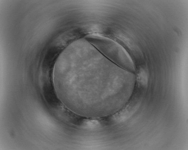 X0000110320572200906042046